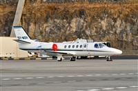 Javier de la Cruz - CANARY ISLANDS SPOTTING. Click to see full size photo