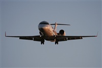 Jos Miguel Bernases - Noisy Spotters. Click to see full size photo