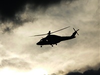 Justo Miguel Prieto. ( Malaga Spotters). Click to see full size photo