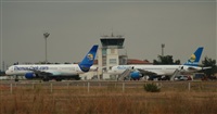Rubn Gil - Noisy Spotters. Click to see full size photo
