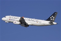 Jos Miguel Bernases - Noisy Spotters. Click to see full size photo
