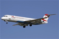 Jos Miguel Bernases - Noisy Spotters. Click to see full size photo
