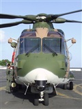 Rui Marques - Portugalspotters.org. Click to see full size photo