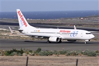 Alfonso Sols - Asociacin Canary Islands Spotting. Click to see full size photo