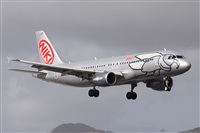 Alfonso Sols - Asociacin Canary Islands Spotting. Click to see full size photo