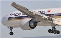 Rubn Gil - Noisy Spotters. Click to see full size photo