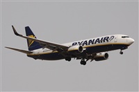 ©Alfonso Solís - Asociación Canary Islands Spotting. Click to see full size photo ©Alfonso Solís - Asociación Canary Islands Spotting. Click to see full size photo