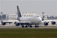 Jos Miguel Bernases - Noisy Spotters. Click to see full size photo