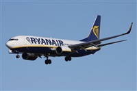 Alfonso Sols - Asociacin Canary Islands Spotting. Click to see full size photo