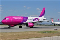 Miguel A. gueda Rguez.  (CANARY ISLANDS SPOTTING). Click to see full size photo