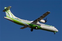 Javier de la Cruz - CANARY ISLANDS SPOTTING. Haz click para ampliar