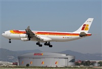 Jos Miguel Bernases - Noisy Spotters. Click to see full size photo