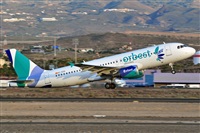 Miguel A. gueda Rguez.  (CANARY ISLANDS SPOTTING). Click to see full size photo