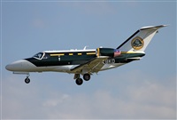 Jos Miguel Bernases - Noisy Spotters. Click to see full size photo