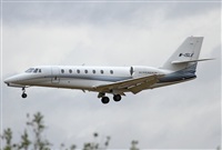 Jos Miguel Bernases - Noisy Spotters. Click to see full size photo