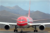 Javier de la Cruz - CANARY ISLANDS SPOTTING. Click to see full size photo