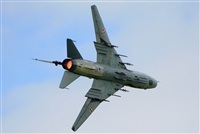 Tams. Click to see full size photo