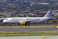 Miguel A. gueda Rguez.  (CANARY ISLANDS SPOTTING). Click to see full size photo