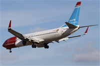 ©Alfonso Solís - Asociación Canary Islands Spotting. Click to see full size photo ©Alfonso Solís - Asociación Canary Islands Spotting. Click to see full size photo