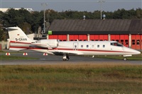 Miguel Alia - Noisy Spotters. Click to see full size photo