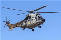 Bartolom Fernndez - Gran Canaria Spotters. Click to see full size photo