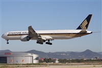 Miguel Alia - Noisy Spotters. Click to see full size photo