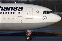 Miguel Alia - Noisy Spotters. Click to see full size photo