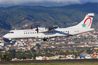 Miguel A. gueda Rguez.  (CANARY ISLANDS SPOTTING). Click to see full size photo