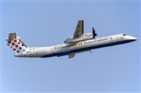 Javier de la Cruz - CANARY ISLANDS SPOTTING. Click to see full size photo