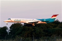 Javier de la Cruz - CANARY ISLANDS SPOTTING. Click to see full size photo