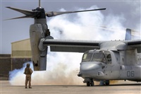 Click here to see full size photo