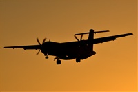 Daniel Santos Batista - Canary Islands Spotting. Haz click para ampliar