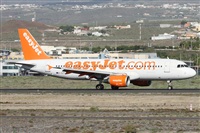 Alfonso Sols - Asociacin Canary Islands Spotting. Click to see full size photo