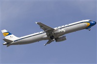 Rubn Gil - Noisy Spotters. Click to see full size photo