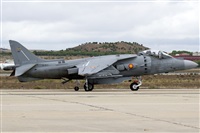 Rubn Gil - Noisy Spotters. Click to see full size photo
