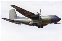 Paco Muoz Arencibia - Gran Canaria Spotters. Click to see full size photo