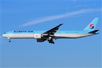 norber. Click to see full size photo