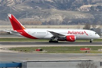 ©Alfonso Solís - Asociación Canary Islands Spotting. Click to see full size photo ©Alfonso Solís - Asociación Canary Islands Spotting. Click to see full size photo