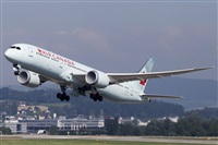 Rubn Gil - Noisy Spotters. Click to see full size photo