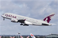 Rubn Gil - Noisy Spotters. Click to see full size photo