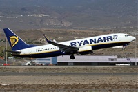 Alfonso Sols - Asociacin Canary Islands Spotting. Haz click para ampliar