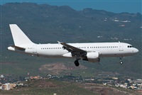 ©J. Victor Vega-Gran Canaria Spotters. Click to see full size photo ©J. Victor Vega-Gran Canaria Spotters. Click to see full size photo