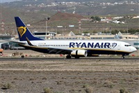 Alfonso Sols - Asociacin Canary Islands Spotting. Haz click para ampliar