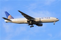 Miguel A. gueda Rguez.  (CANARY ISLANDS SPOTTING). Click to see full size photo