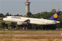 Miguel A. gueda Rguez.  (CANARY ISLANDS SPOTTING). Click to see full size photo