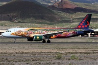 ©Alfonso Solís - Asociación Canary Islands Spotting. Click to see full size photo ©Alfonso Solís - Asociación Canary Islands Spotting. Click to see full size photo