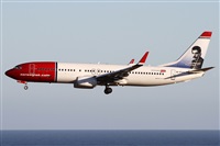 ©Alfonso Solís - Asociación Canary Islands Spotting. Click to see full size photo ©Alfonso Solís - Asociación Canary Islands Spotting. Click to see full size photo