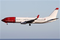 ©Alfonso Solís - Asociación Canary Islands Spotting. Click to see full size photo ©Alfonso Solís - Asociación Canary Islands Spotting. Click to see full size photo