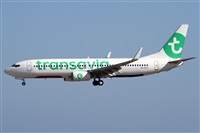©Alfonso Solís - Asociación Canary Islands Spotting. Click to see full size photo ©Alfonso Solís - Asociación Canary Islands Spotting. Click to see full size photo