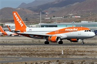 Alfonso Sols - Asociacin Canary Islands Spotting. Click to see full size photo